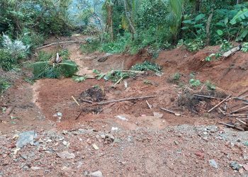 Waspada! Curah Hujan Tinggi di Banjarnegara Sebabkan Longsor